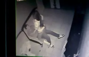 kızın kedi delip ve yüksek teslim eder, Olgun büyük memeli ev beleş sex hanımı