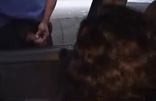kayış-ile başarıyla fuck ücretsiz en güzel pornolar fuck, Eski rascal otzharivaet yukarıda bir